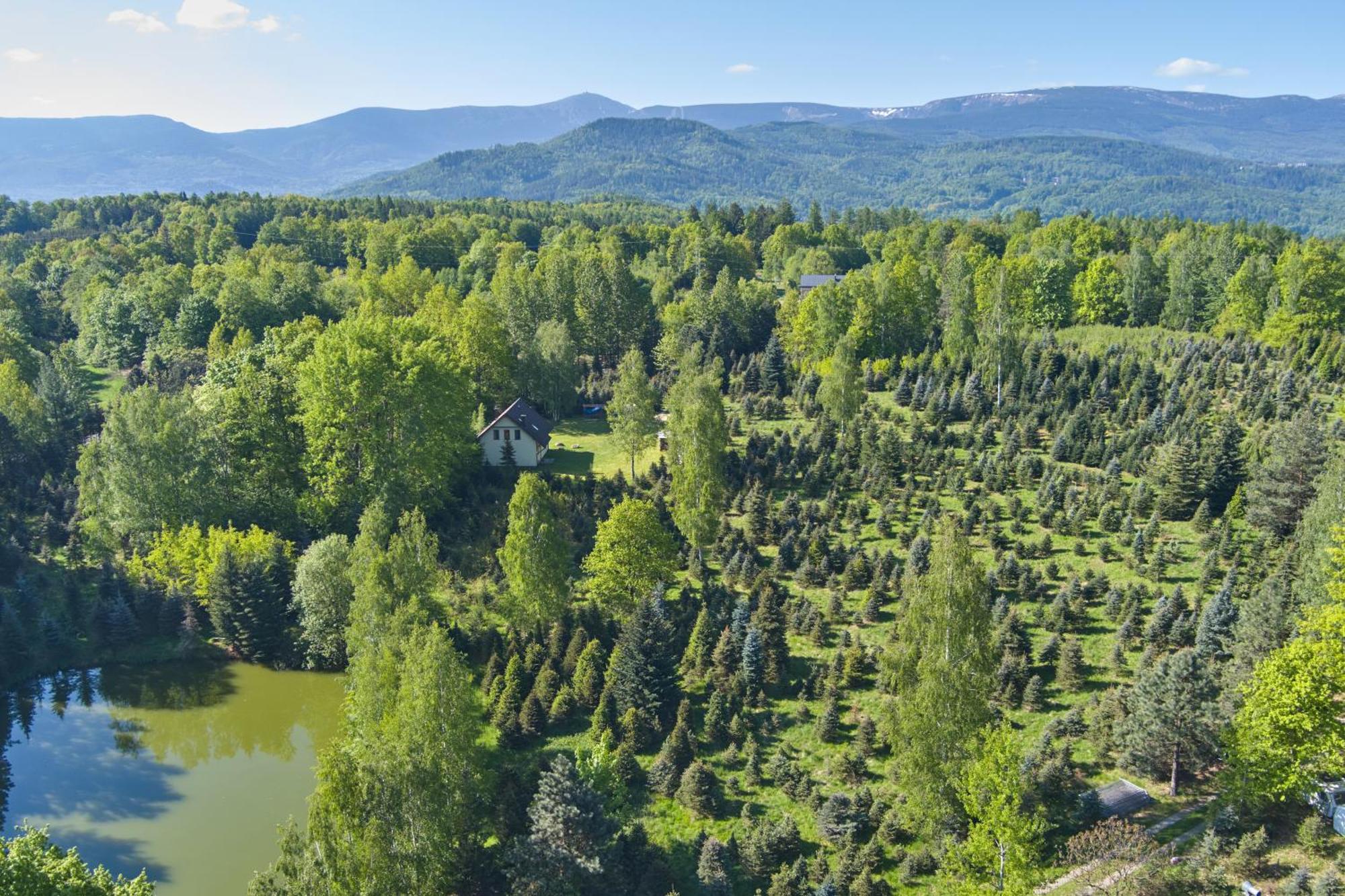 Agroturystyka - Srebrny Las Staniszow Extérieur photo